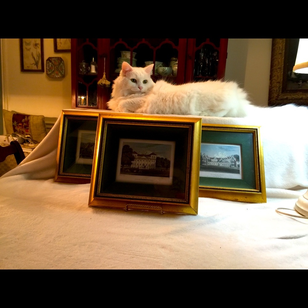 Three Vintage Framed Antique Postcards